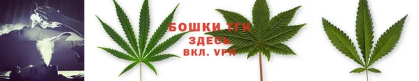 эйфоретик Елабуга