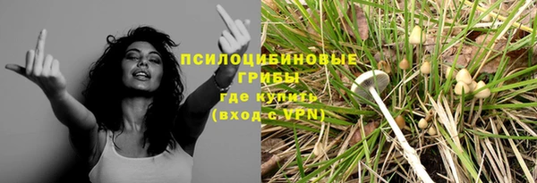 mdma Ельня
