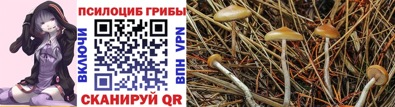 Галлюциногенные грибы мицелий  Рубцовск 